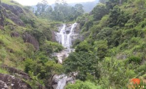 Nonpareil Estate Fall