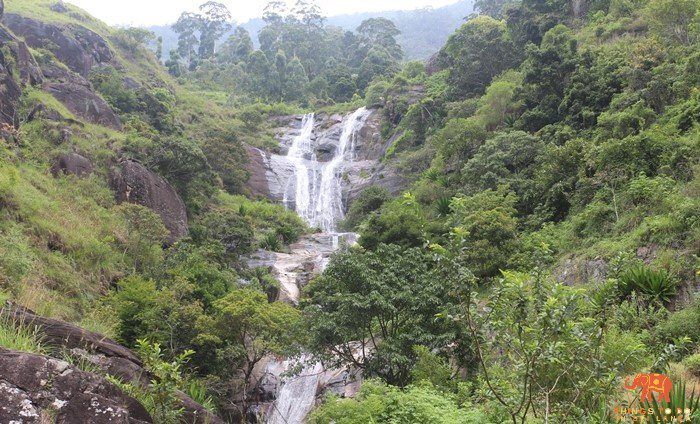 Nonpareil Estate Fall