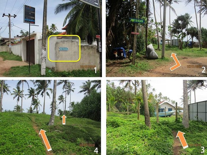 road to coconut tree spot smaller