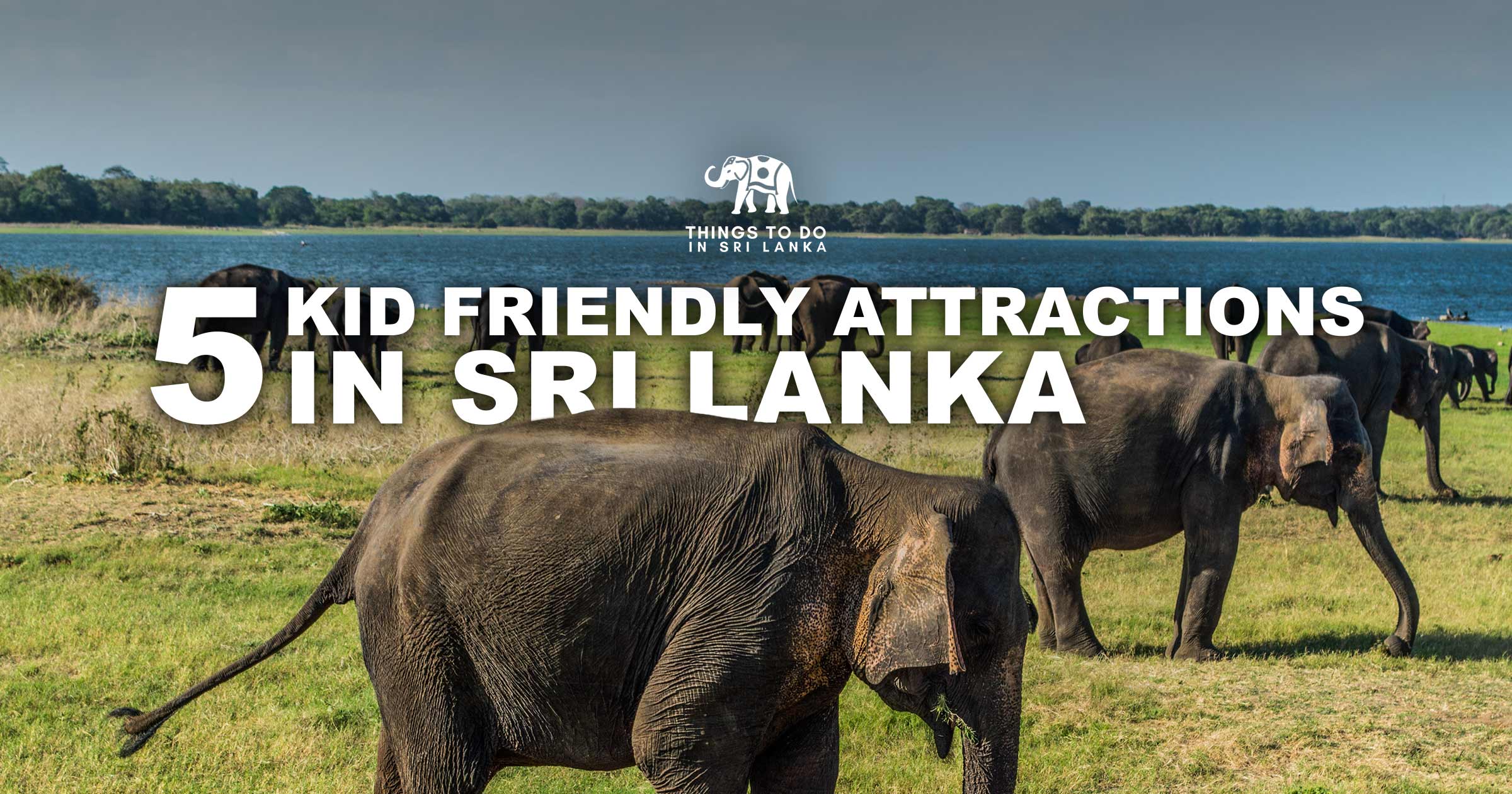 5 Kid Friendly Attractions in Sri Lanka