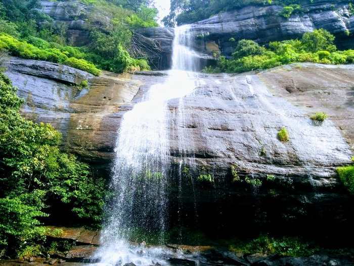 doowili ella falls knuckles