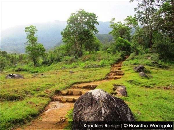 knuckles hike trail head