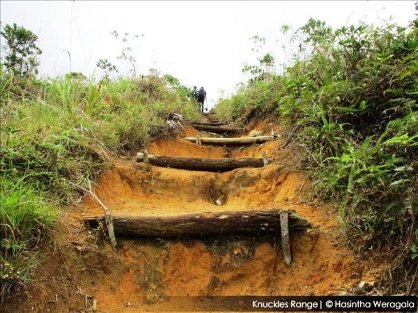 knuckles hiking trail