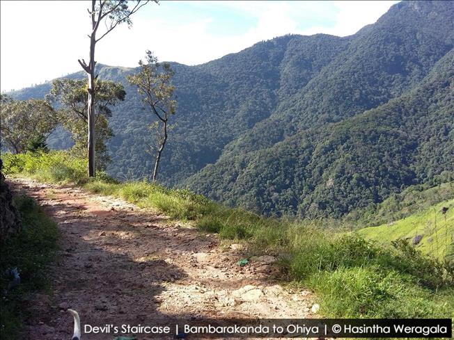 scenery is getting better