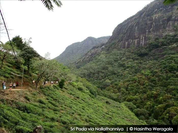 sri pada via nallathanniya