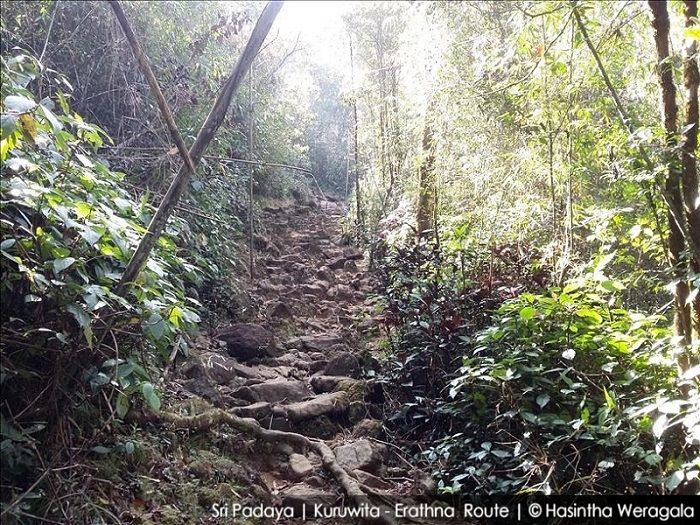 strenous trek to adams peak