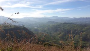 Great Western Mountain