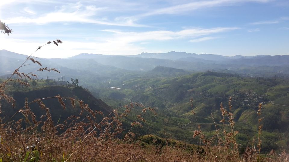 Great Western Mountain