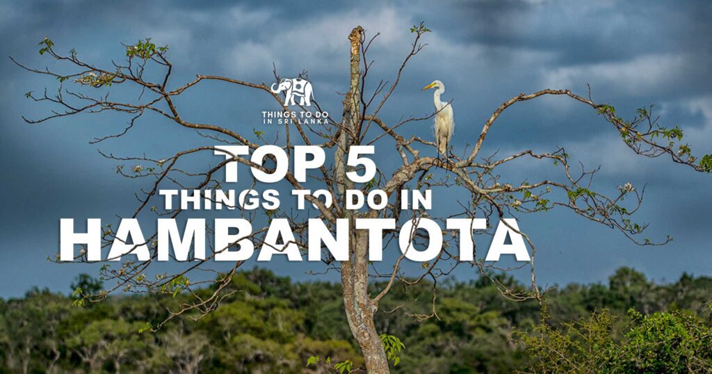 Things to do in Hambantota Sri Lanka
