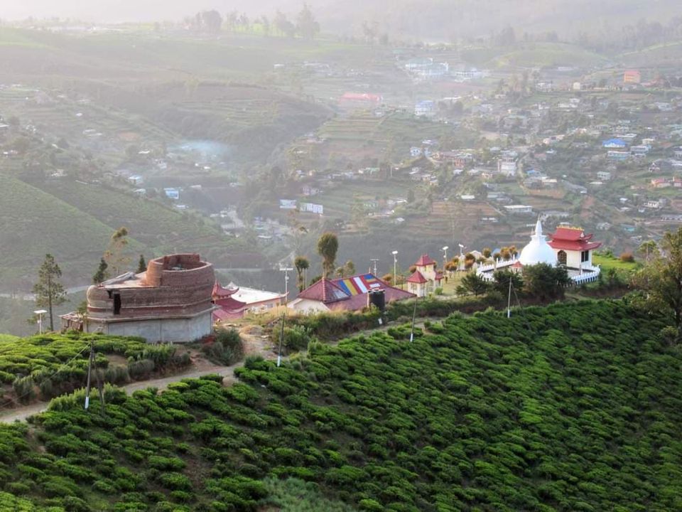 Single Tree Hill Mountain