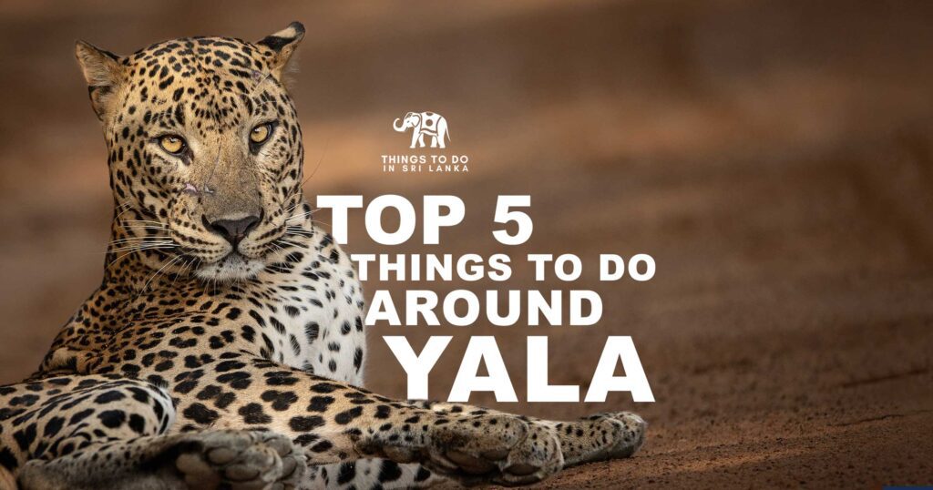 Things to do in Yala Sri Lanka