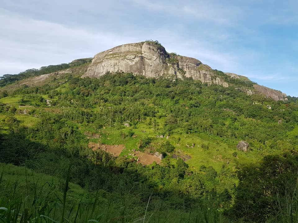 Brandy Rock – Brandygala