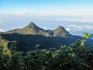 Bana Samanala Mountain