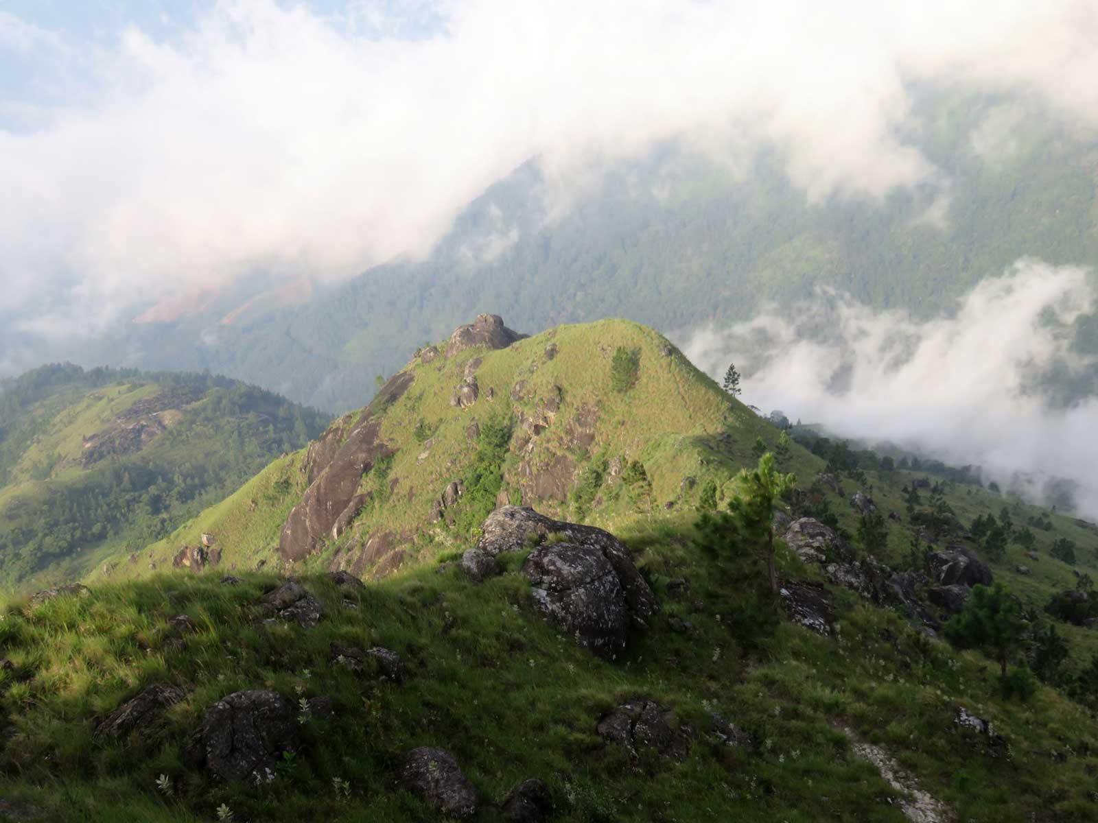 Adara Kanda | Paraviyangala