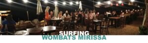 Surfing Wombats Mirissa