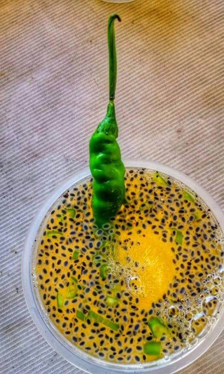 69384410_2430331513852289_2147296709548441600_n